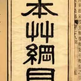 张昊