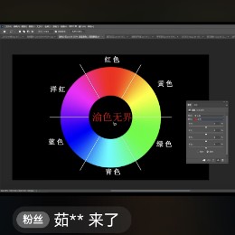 赵艳杰