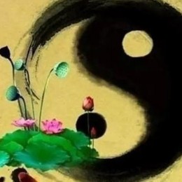 杨成刚