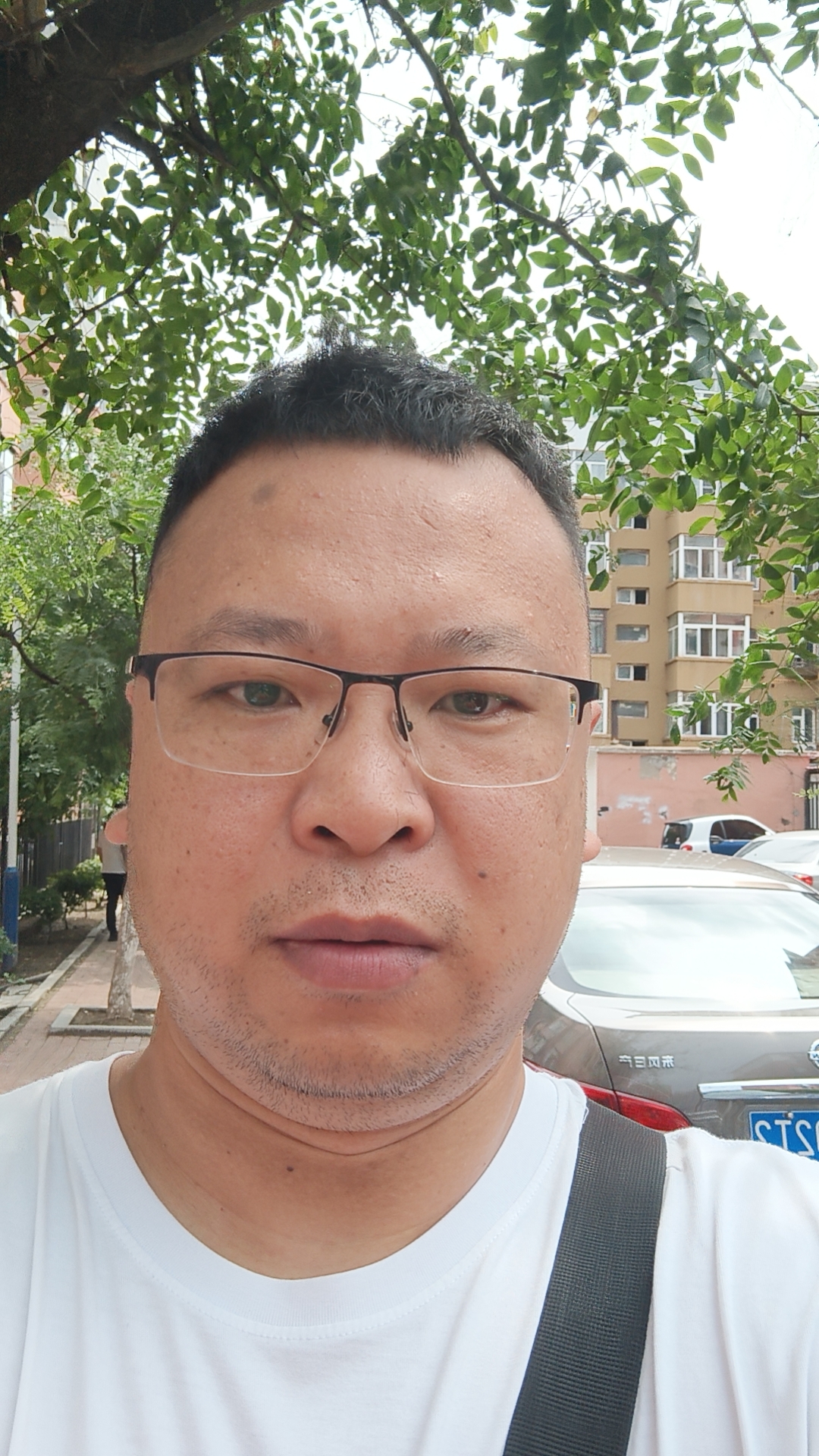 龙飞